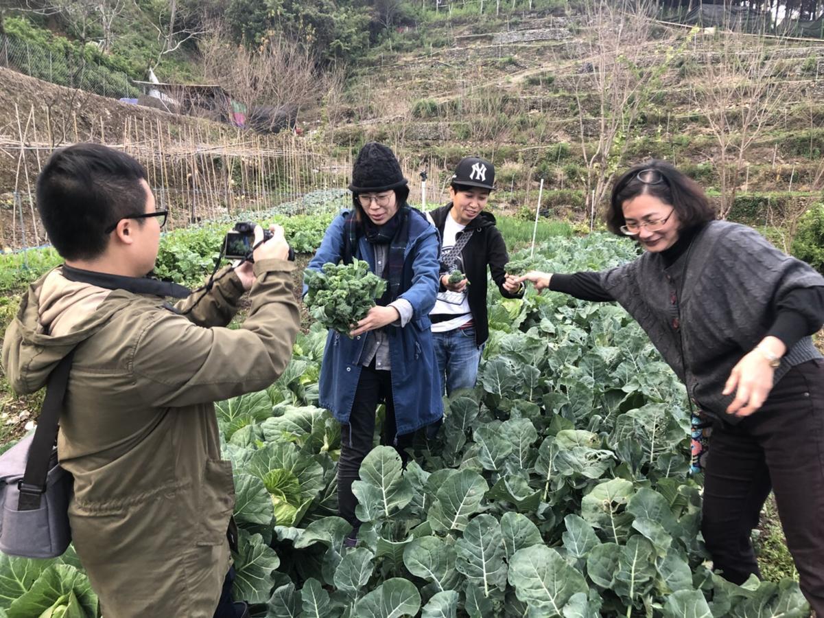 日光青境民宿 仁爱乡 外观 照片